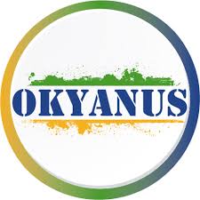 OKYANUS YAYINLARI LGS 4 2025